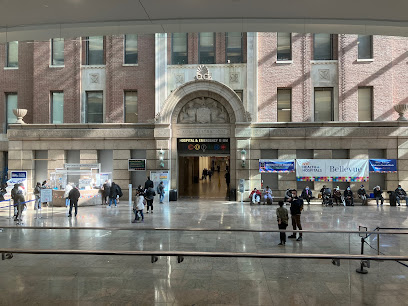 NYC Health + Hospitals / Bellevue. main image