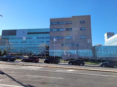 NYC Health + Hospitals / Queens main image