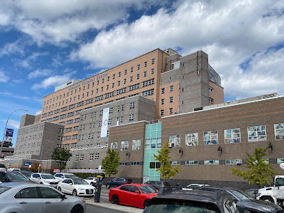 NYC Health + Hospitals/Elmhurst main image