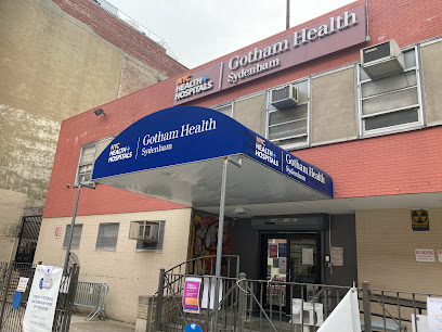 NYC Health + Hospitals/Gotham Health, Sydenham main image