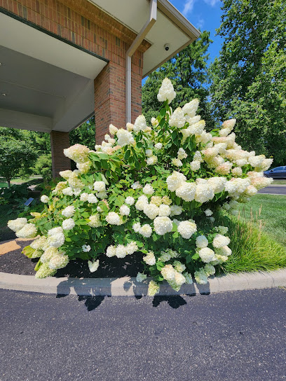 Ohio's Hospice of Dayton main image