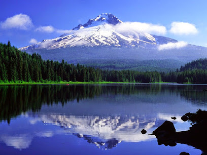 Oregon Health Benefits Online image