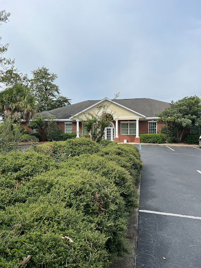 Palmetto Internal Medicine main image