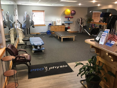 Pro Physio main image