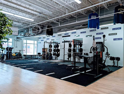 PRO Therapy main image