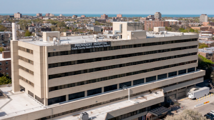 Provident Hospital of Cook County main image
