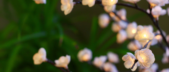 Pure Complexion Spa main image