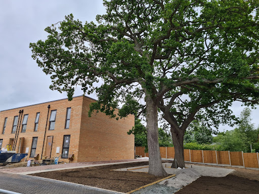 Queen Charlotte's and Chelsea Hospital main image