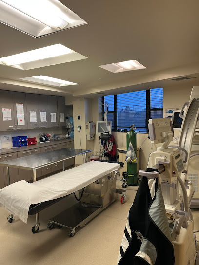 Queens Endovascular - American Endovascular main image