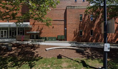 Radiologic Sciences and Therapy Division image