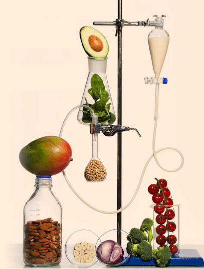ReBalance main image