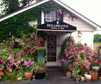 Renaissance Salon & Spa image
