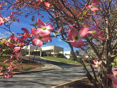 Rex Holly Springs Hospital main image