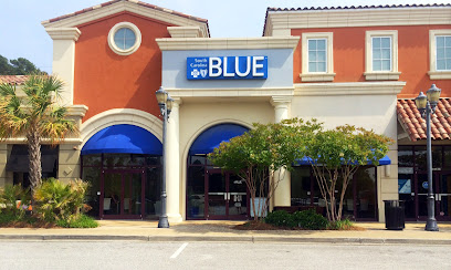 South Carolina BLUE image