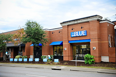 South Carolina BLUE image