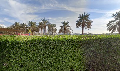 SPORTS PHYSIOTHERAPIST - NAVEEN DUBAI image