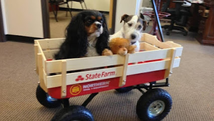 Suzanne Cork - State Farm Insurance Agent image