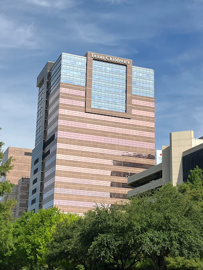 Texas Children's Hospital - West Tower main image