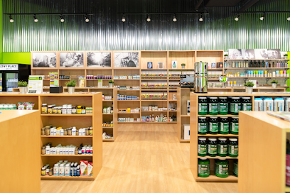 The Healthy Place main image