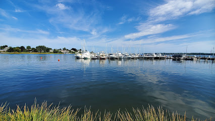 The Village main image