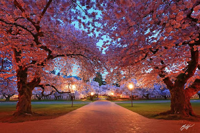 University of Washington image