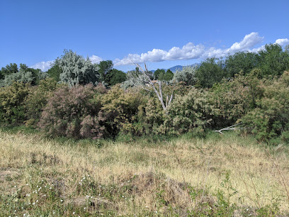 Valley Behavioral Health main image