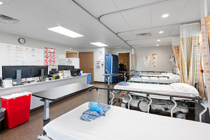 Vascular Institute of Michigan main image