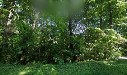 Vermont Commons School Outdoor Education Center main image