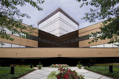 Virginia Family Wellness main image