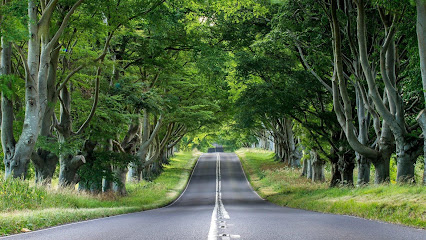 Virginia Senior Benefits and Family Care main image