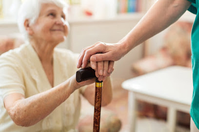Whole Hearted Senior Home Care main image