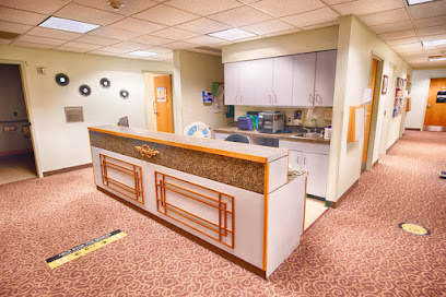 Women's Wellness Associates main image