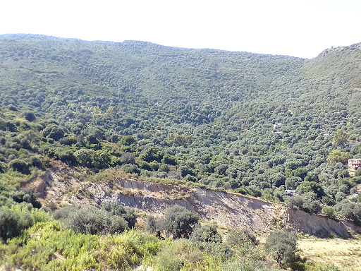 مستشفي الحكيم ضربان main image