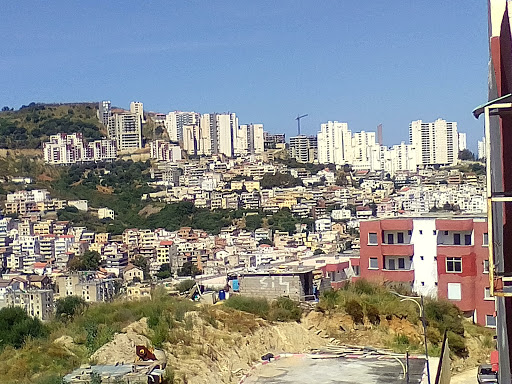 مستشفي الحكيم ضربان image