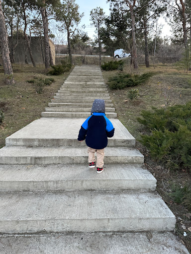 ყოფილი 9 საავადმყოფოს ტერიტორია main image